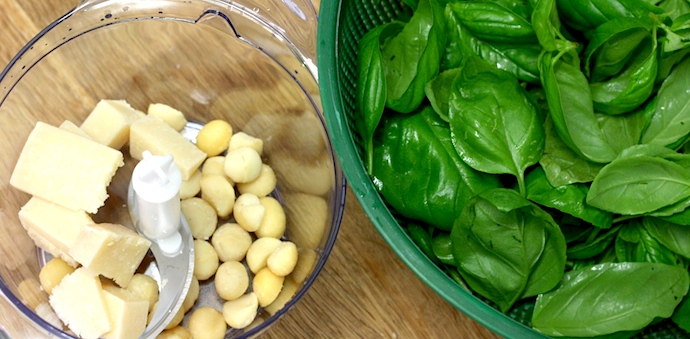 Basil & Macadamia Nut Pesto Recipe | My Poppet Living