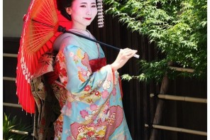 Meiko, Kyoto Japan
