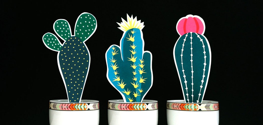 Cacti lovers etsy gift guide