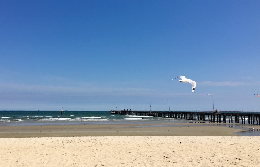 Melbournes best local beaches