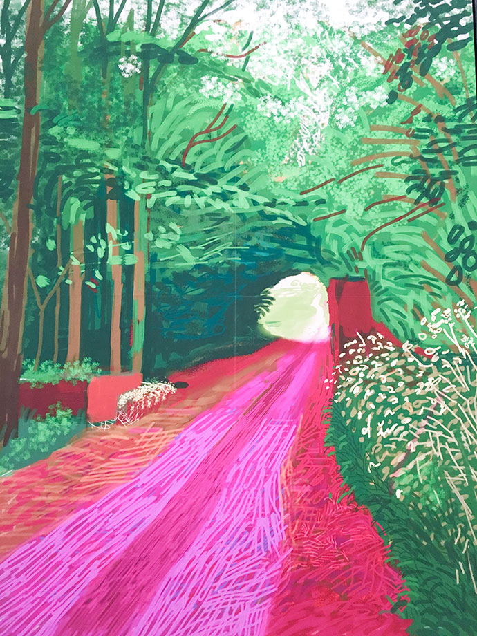 David Hockney NGV