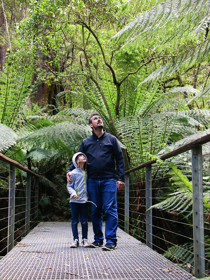 Otway lorne nature walk family things to do - Top 10 Things to See + Do with kids , Great Ocean Road AUSTRALIA mypoppet.com.au