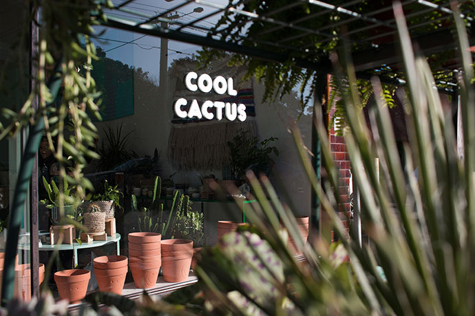 Cool Cactus plant store Armadale Melbourne - mypoppet.com.au