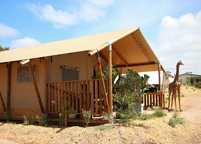 Safari Tent Glamping Great Ocean Road Anglesea Victoria - Hotel Review - mypoppet.com.au