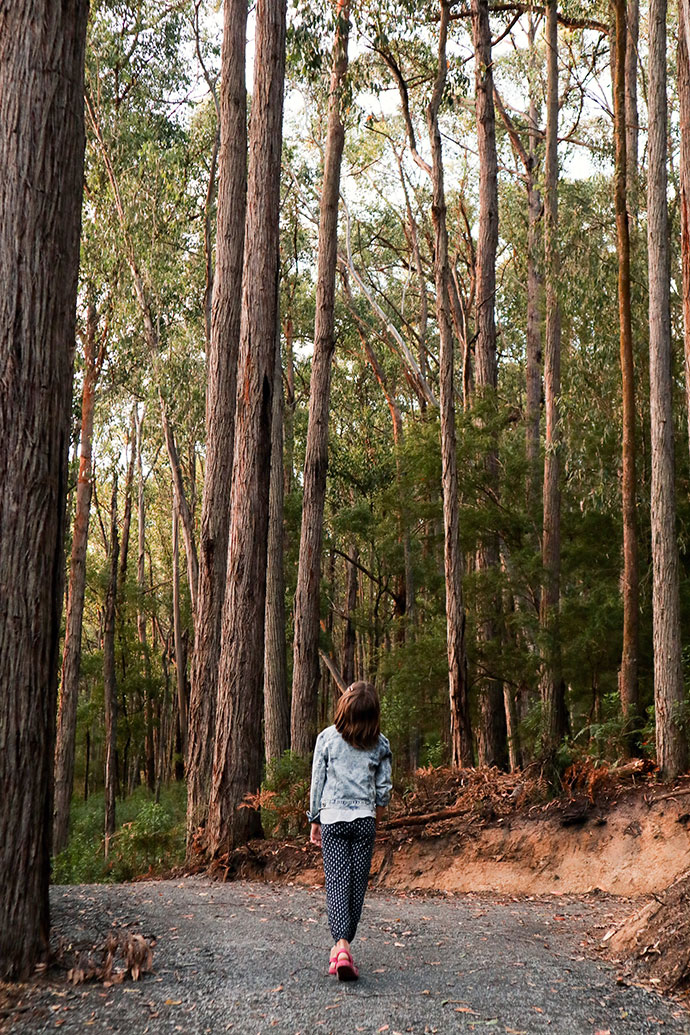 Lake Piccaninny Yarra valley fern walk - mypoppet.com.au