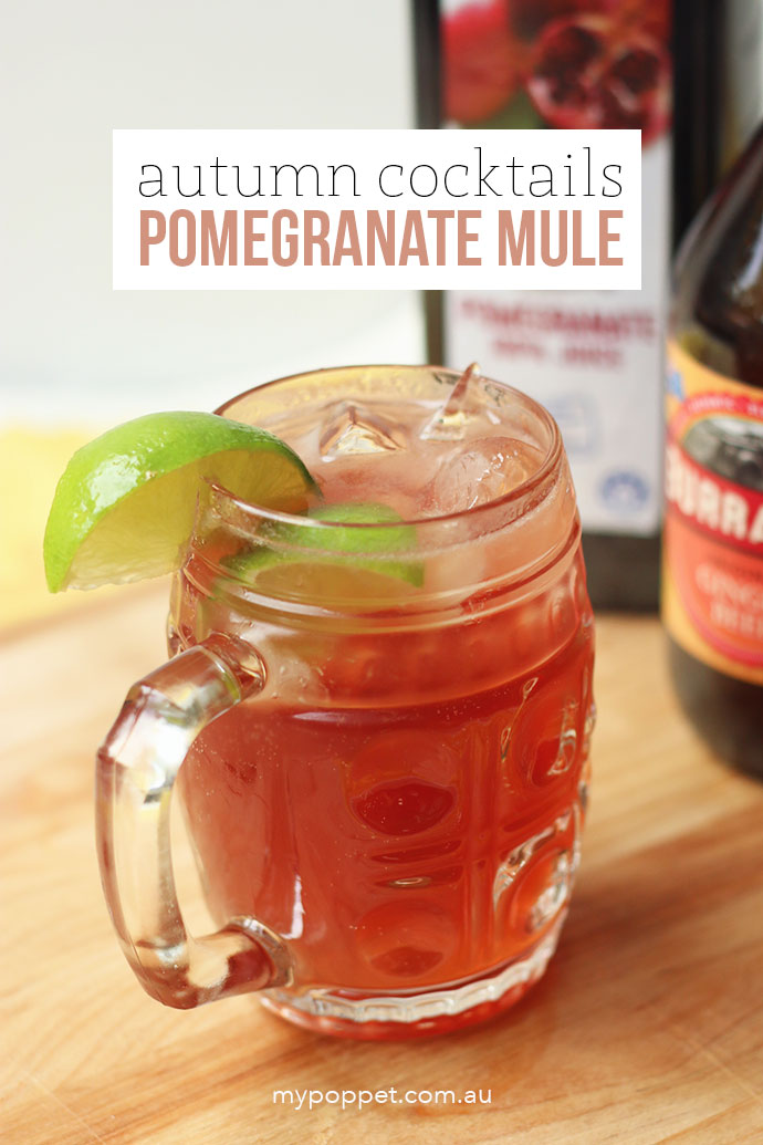 Pomegranate Moscow Mule - mypoppet.com.au