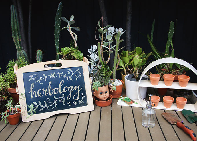 herbology class - harry potter party ideas