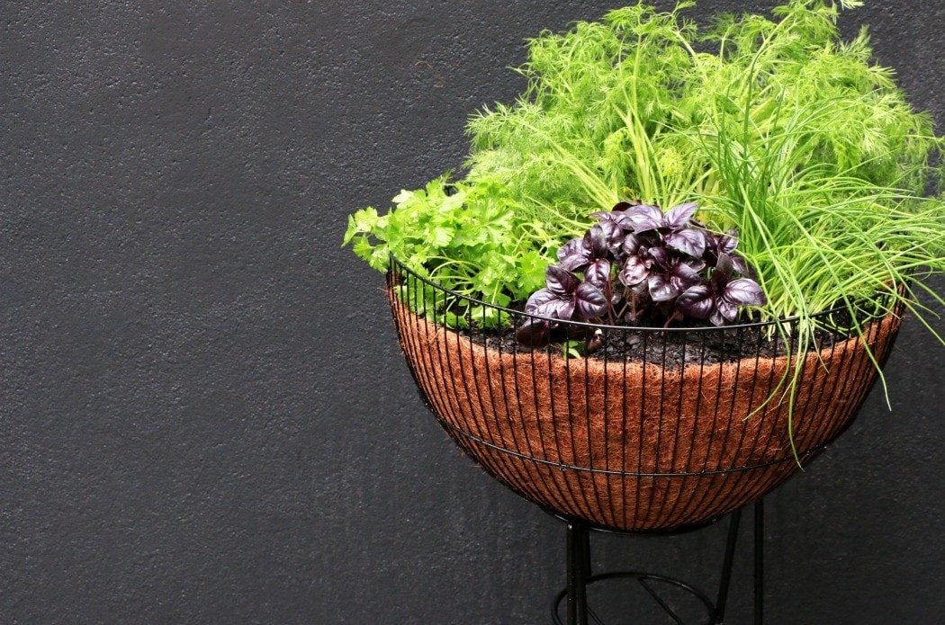 DIY upcycled mid century planter herb garden