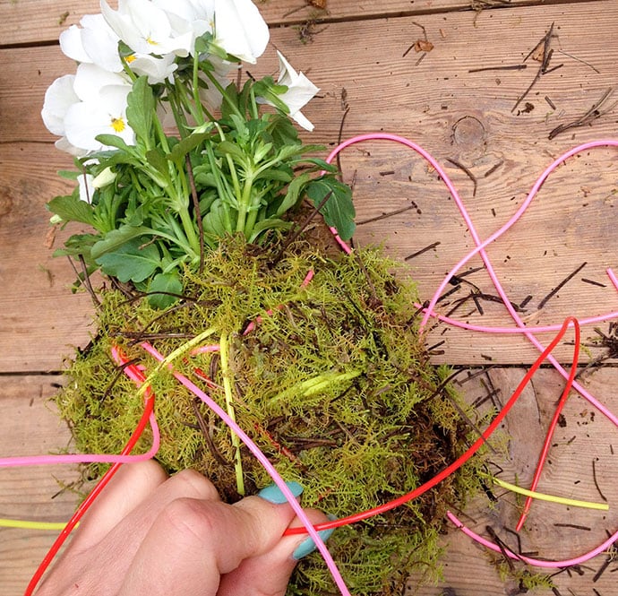 How to make a Kokedama Hanging Plant