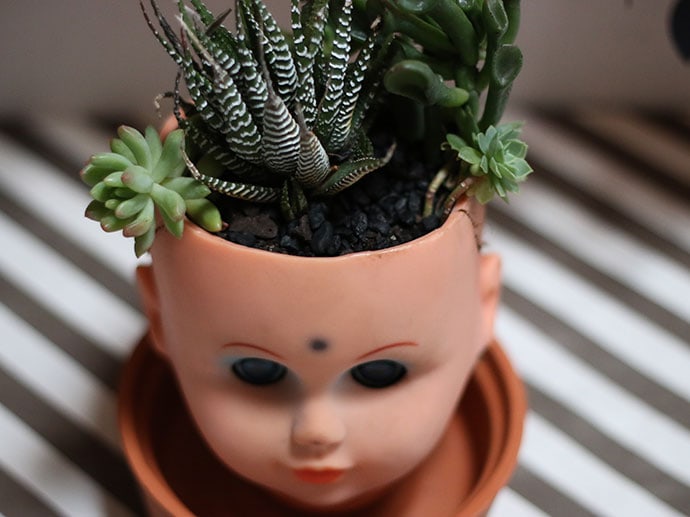 creepy doll head planter DIY with cactus and succulents mypoppet.com.au