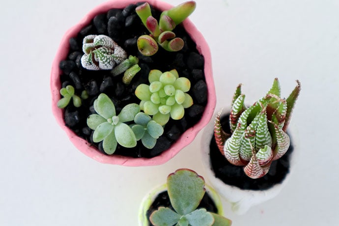 DIY Polymer Clay Mini Planters mypoppet.com.au