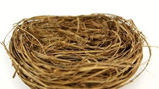 Touch of Nature Wild Grass Nest
