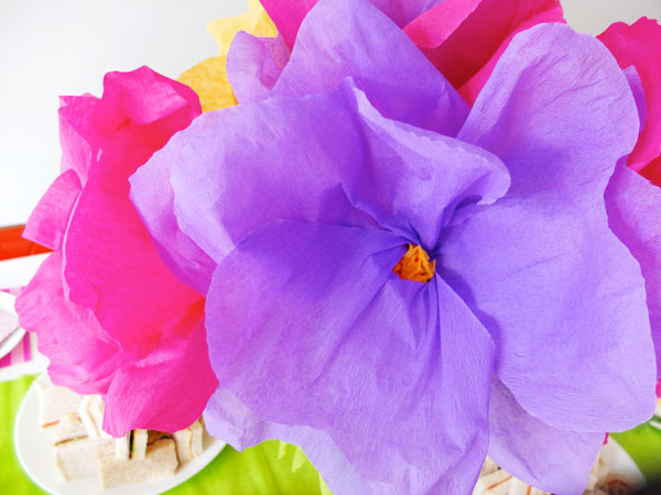 Giant crepe paper flowers