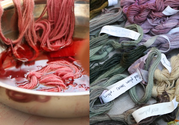 botanical dyeing