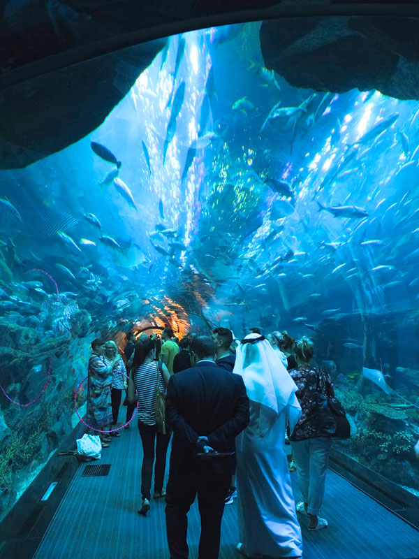 Dubai mall aquarium tunnel